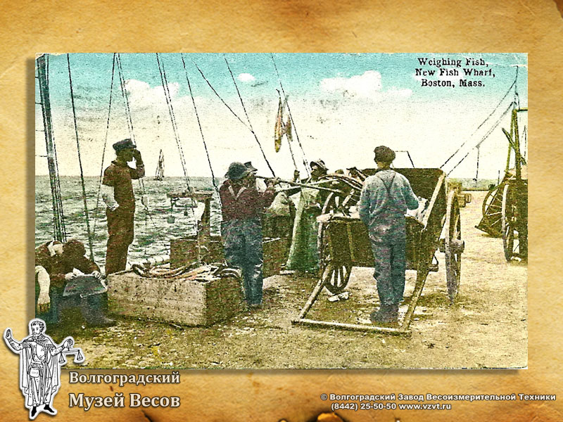 Weighing of fish. A postcard with scales picture.