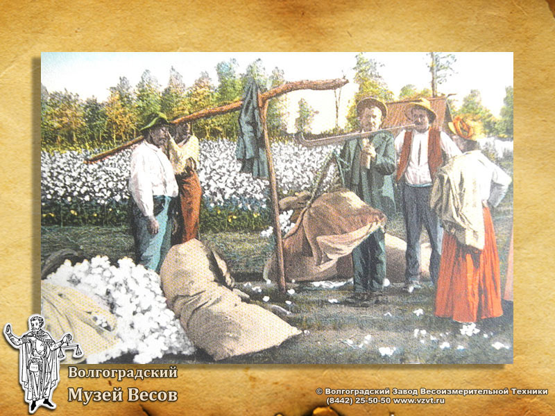 Weighing of cotton on Roman scales. A postcard.