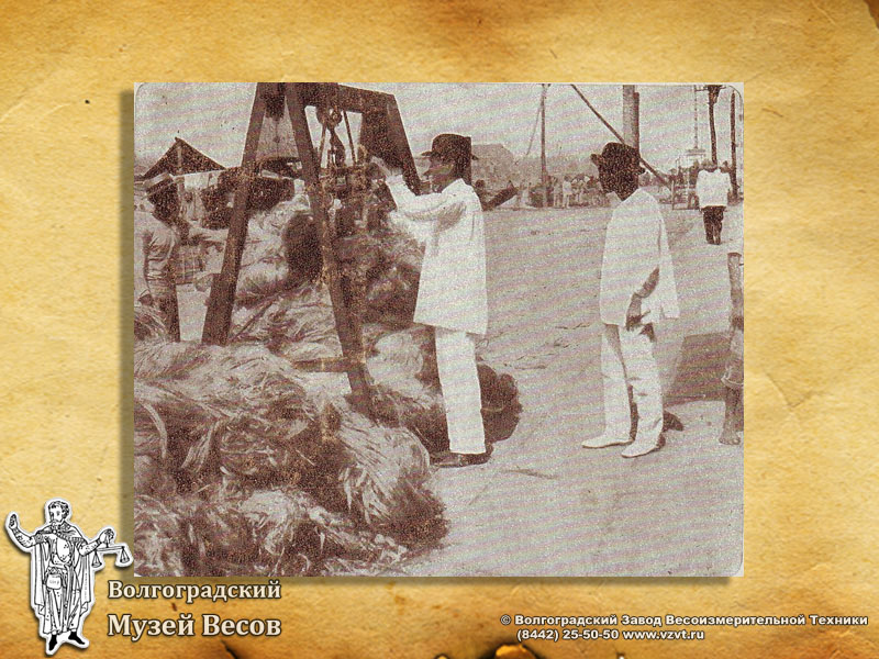 Weighing of cotton. A postcard with scales picture