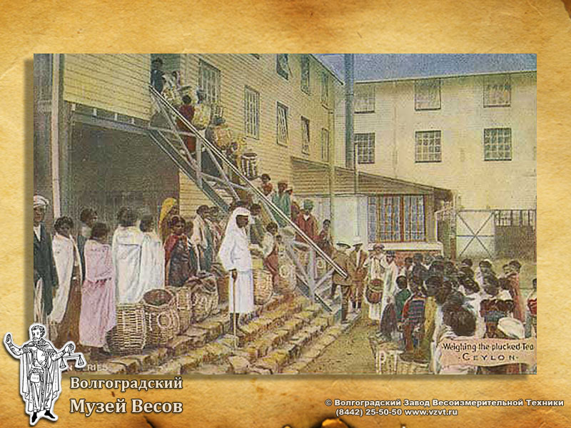 Weighing of Ceylon tea. Postcard with the picture of scales.
