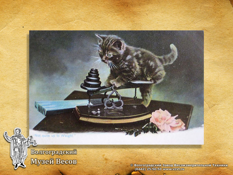 A postcard with a kitten on letter scales