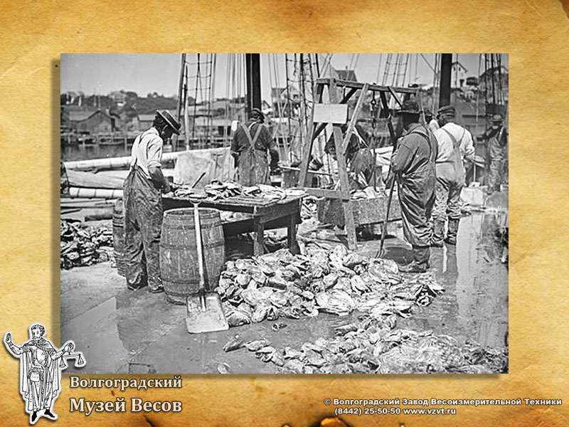 Weighing of catch. Retro photo depicting scales.
