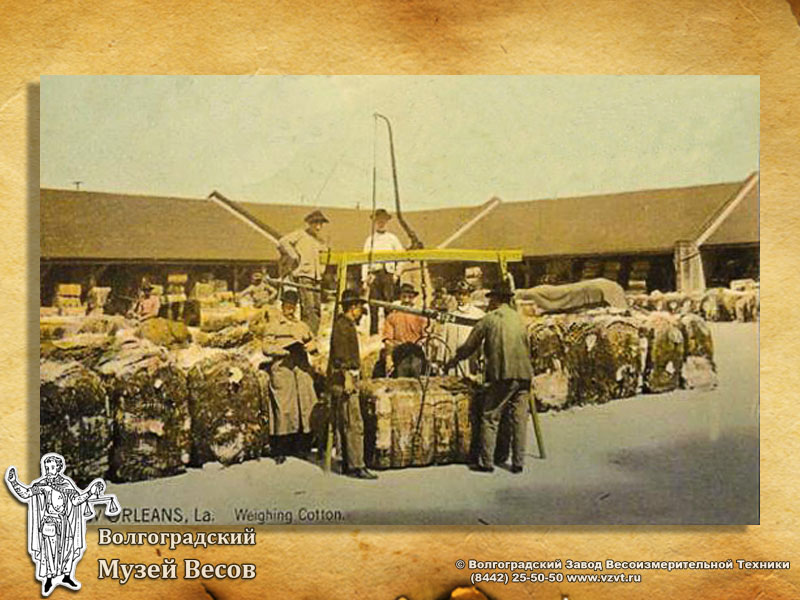 Weighing of cotton. A postcard with the image of weights.