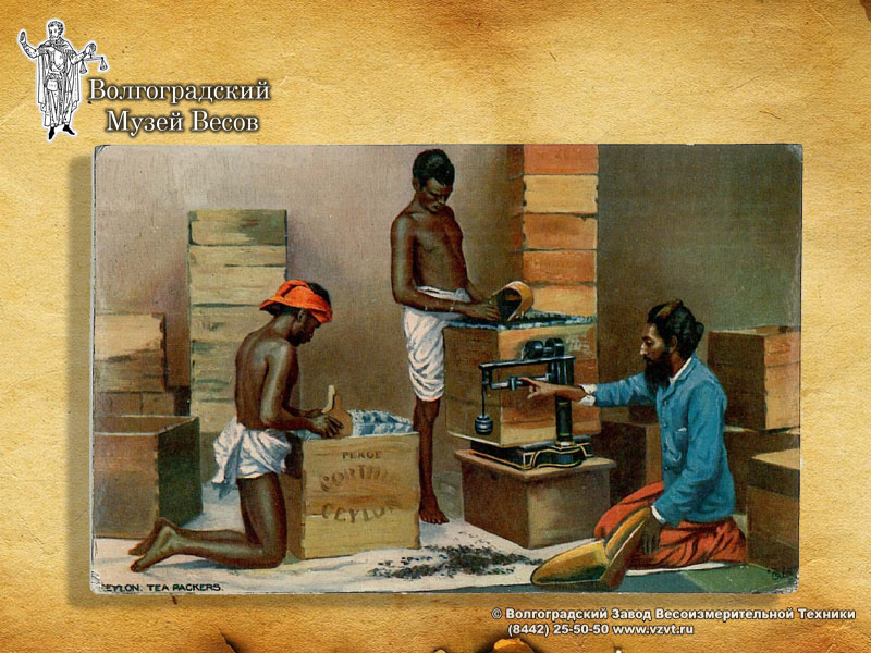 Ceylon. Tea packers. A postcard with scales.