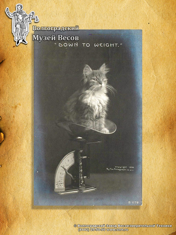 A card with a cat on a spring scale.