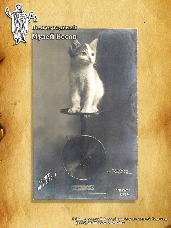 A postcard with a kitten on a spring scale.