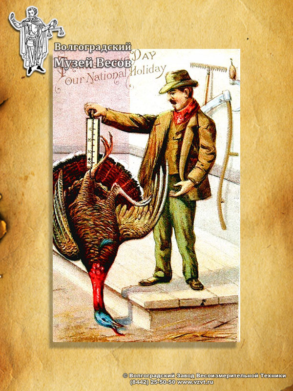 Weighing of a turkey. Thanksgiving postcard with the picture of scales.