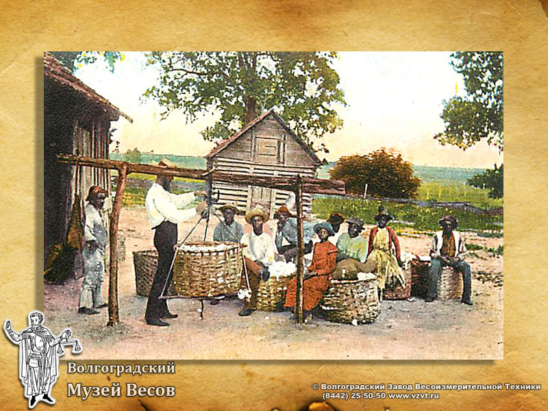 Weighing of cotton. Postcard with the picture of scales.